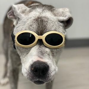 Meet your Posher, Neil